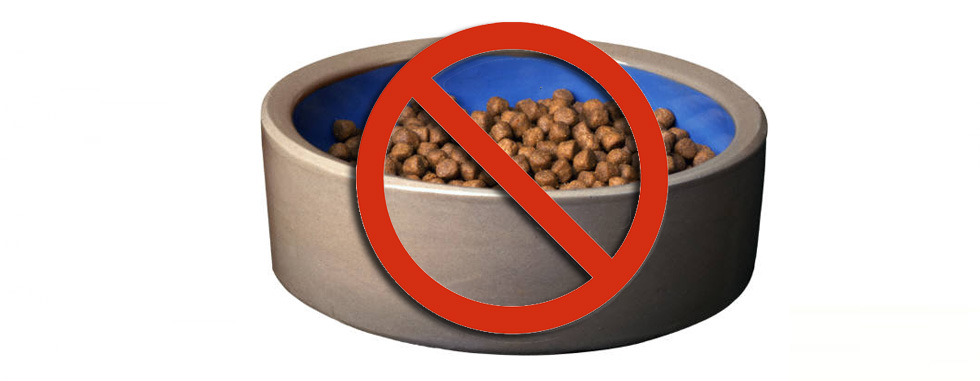 No chemicals in our dog food